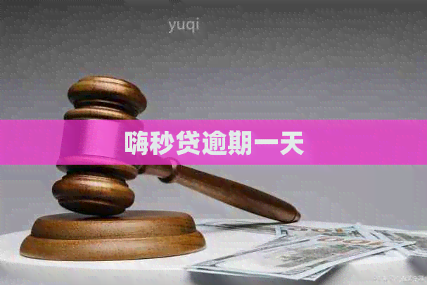 嗨秒贷逾期一天