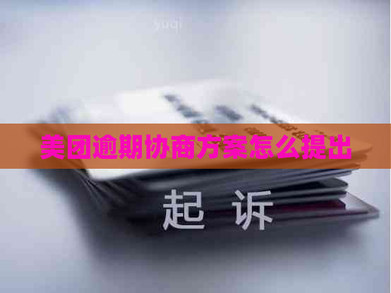美团逾期协商方案怎么提出