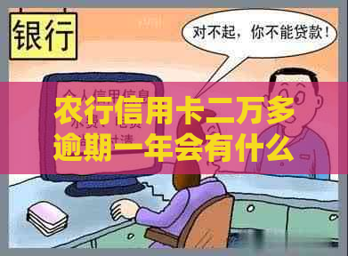 农行信用卡二万多逾期一年会有什么后果