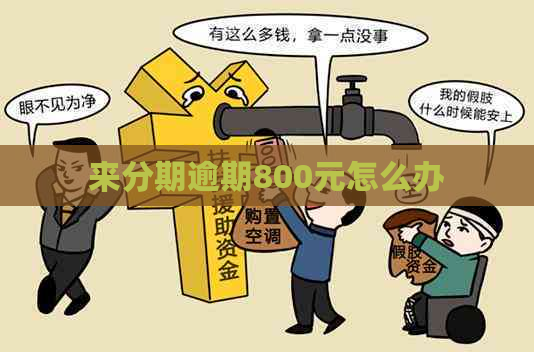 来分期逾期800元怎么办