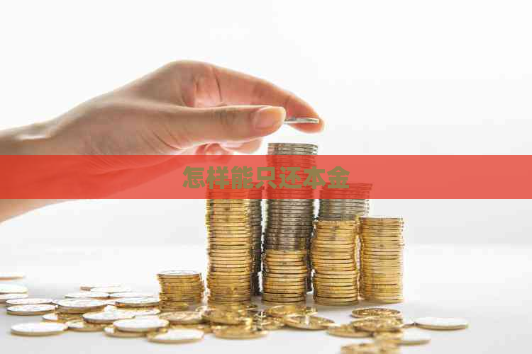 怎样能只还本金