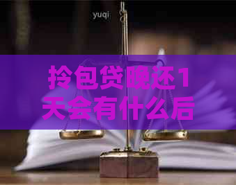 拎包贷晚还1天会有什么后果