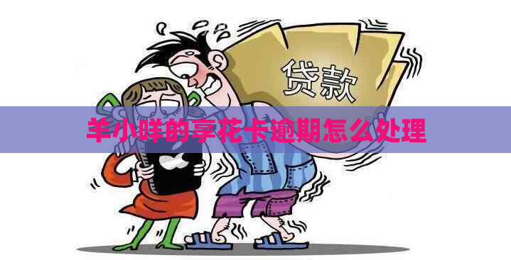 羊小咩的享花卡逾期怎么处理