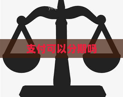 支付可以分期吗
