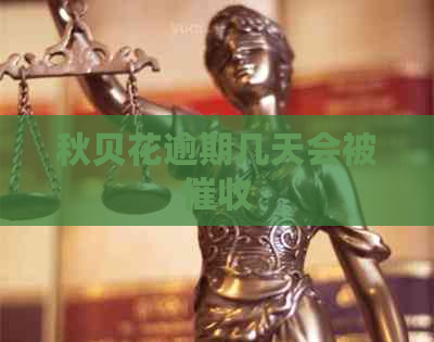 秋贝花逾期几天会被