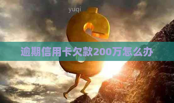 逾期信用卡欠款200万怎么办
