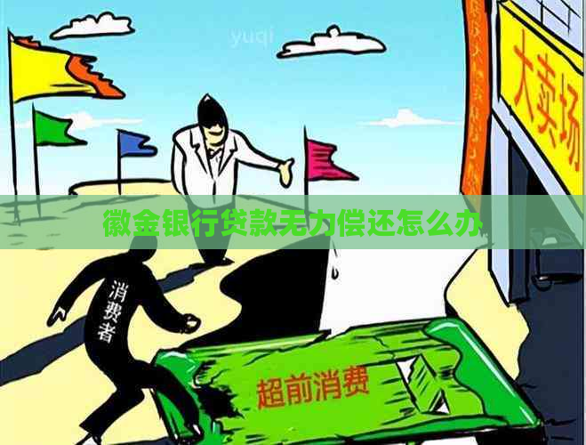 徽金银行贷款无力偿还怎么办