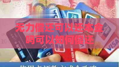 无力偿还可以还本金吗可以如何偿还