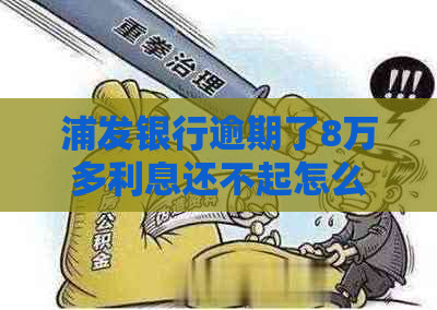 浦发银行逾期了8万多利息还不起怎么办