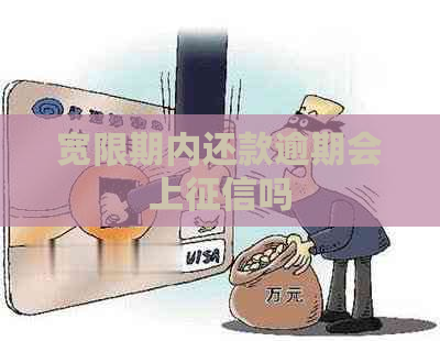 宽限期内还款逾期会上吗