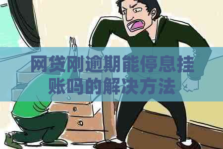 网贷刚逾期能停息挂账吗的解决方法