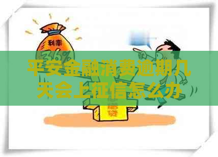 平安金融消费逾期几天会上怎么办