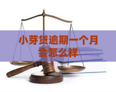 小芽贷逾期一个月会怎么样