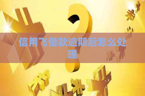 信用飞借款逾期后怎么处理