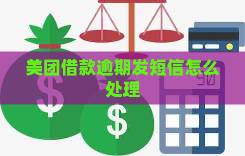 美团借款逾期发短信怎么处理