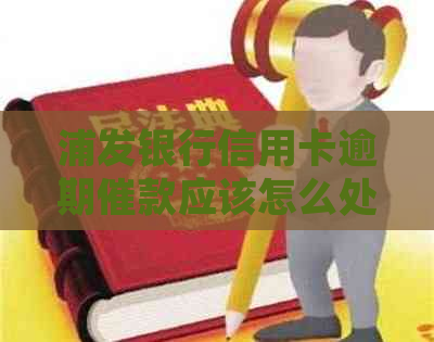 浦发银行信用卡逾期催款应该怎么处理