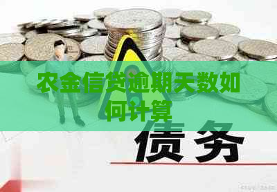 农金信贷逾期天数如何计算