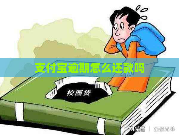 支付宝逾期怎么还款吗