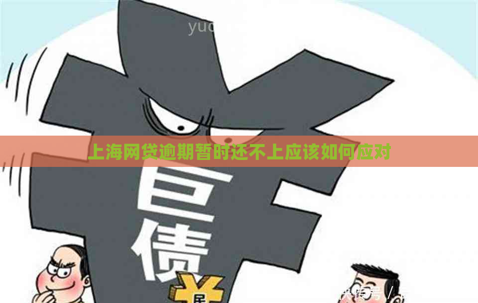 上海网贷逾期暂时还不上应该如何应对