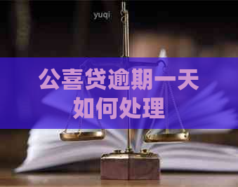公喜贷逾期一天如何处理