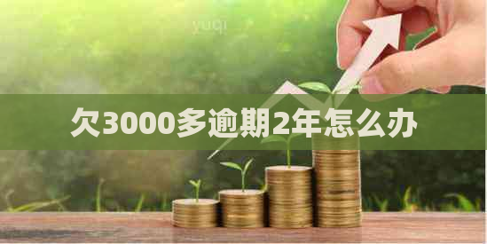 欠3000多逾期2年怎么办