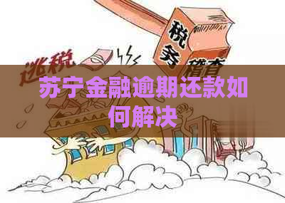 苏宁金融逾期还款如何解决