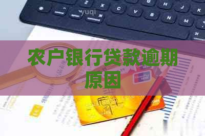 农户银行贷款逾期原因
