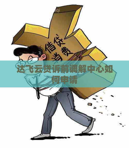 达飞云贷诉前调解中心如何申请