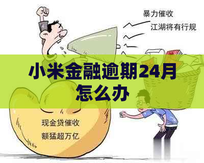 小米金融逾期24月怎么办