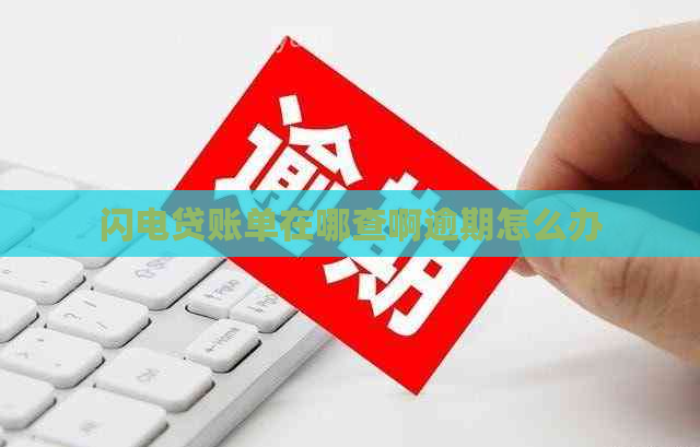 闪电贷账单在哪查啊逾期怎么办