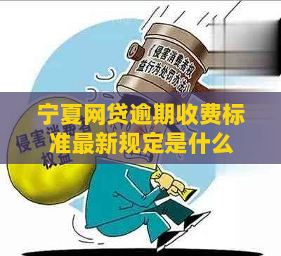 宁夏网贷逾期收费标准最新规定是什么