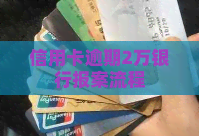 信用卡逾期2万银行报案流程