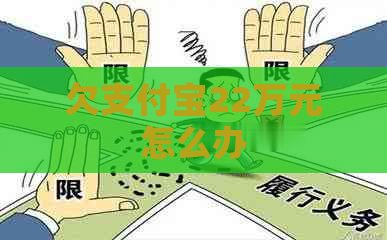 欠支付宝22万元怎么办