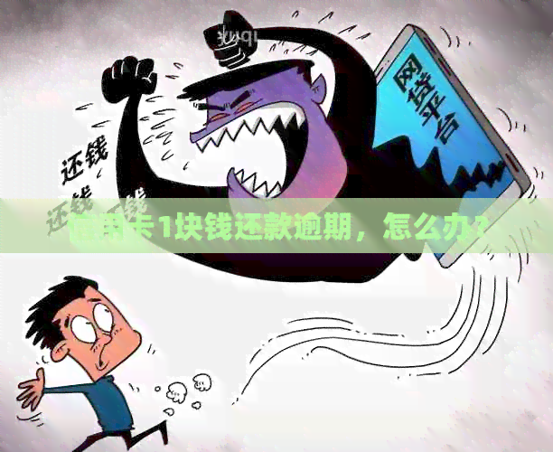 信用卡1块钱还款逾期，怎么办？