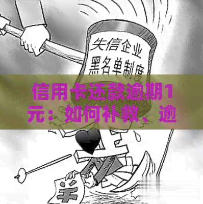 信用卡还款逾期1元：如何补救、逾期后果及解决方法全面解析