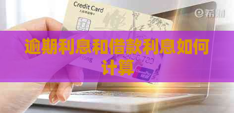 逾期利息和借款利息如何计算