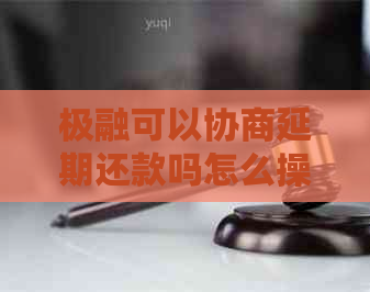 极融可以协商延期还款吗怎么操作才能成功