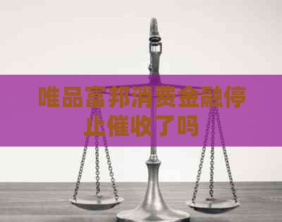 唯品富邦消费金融停止了吗