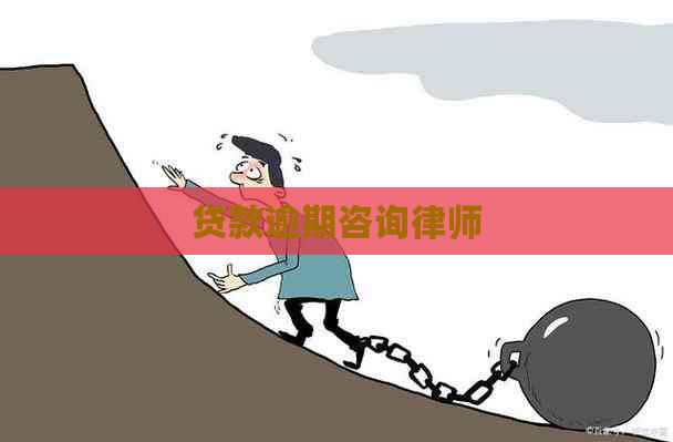 贷款逾期咨询律师