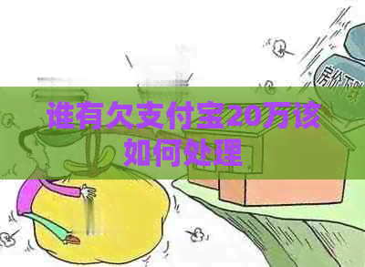 谁有欠支付宝20万该如何处理