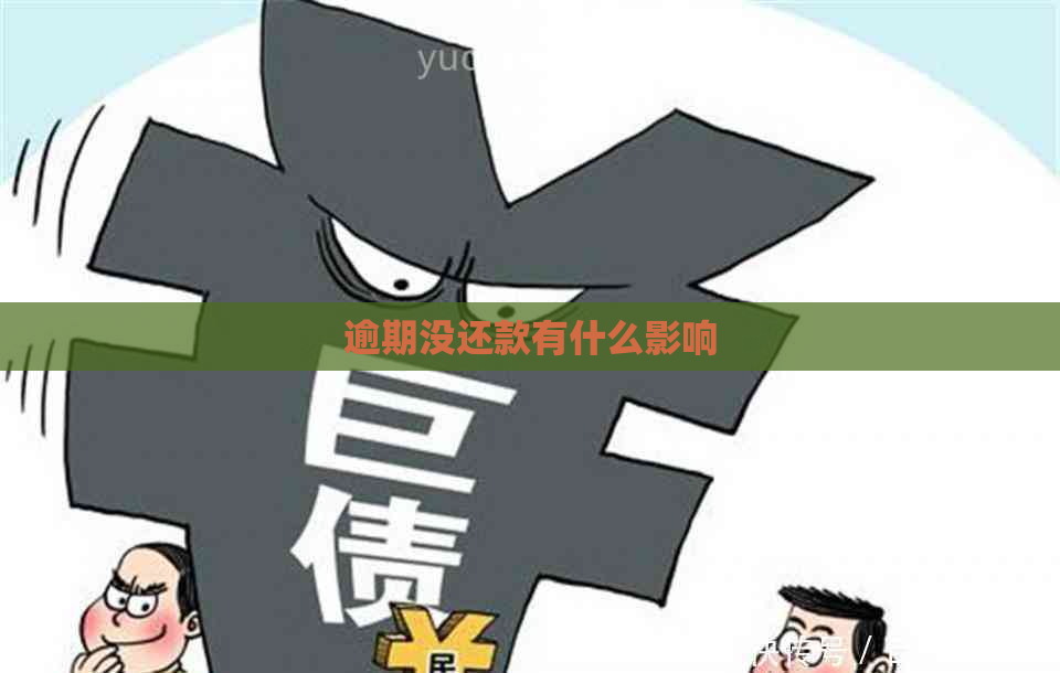 逾期没还款有什么影响