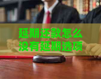 延期还款怎么没有延期选项