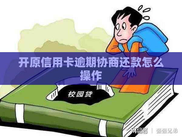 开原信用卡逾期协商还款怎么操作