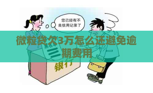 微粒贷欠3万怎么还避免逾期费用