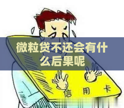 微粒贷不还会有什么后果呢