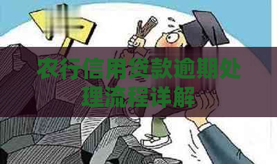 农行信用贷款逾期处理流程详解