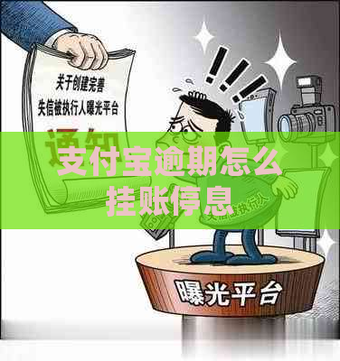 支付宝逾期怎么挂账停息