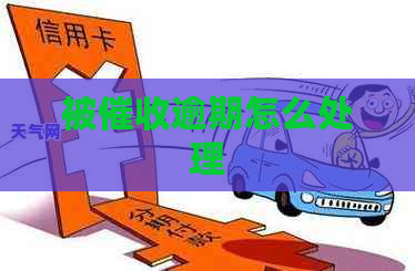 被逾期怎么处理