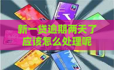 新一贷逾期两天了应该怎么处理呢