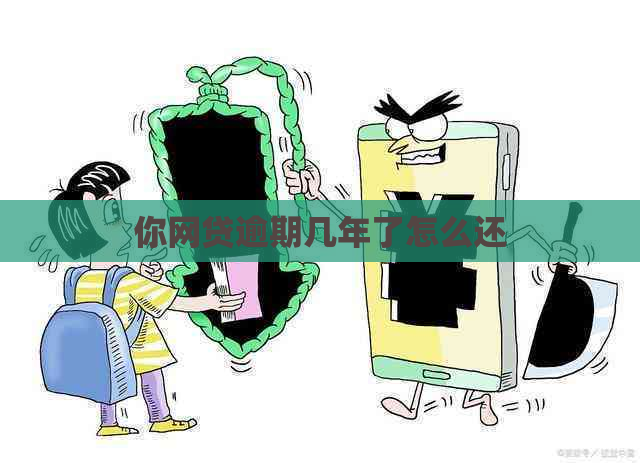 你网贷逾期几年了怎么还